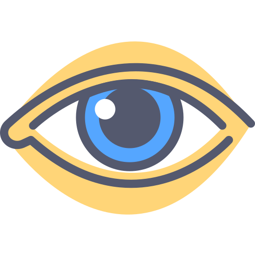 Eye