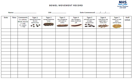 Bristol stool chart record