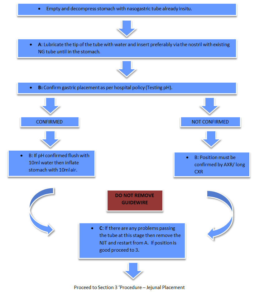 Procedure - Gastric Placement