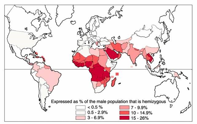 Map showing distribution of G6PD worldwide.