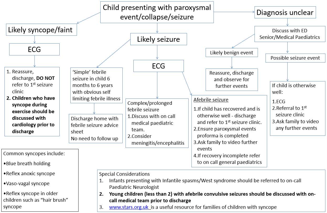 1st Seizure clinic referral guidelines flowchart