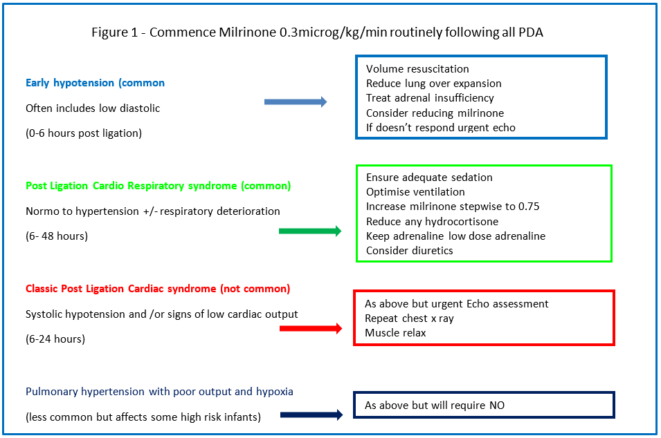 Figure 1 - Commence Milrinone 0.3microg/kg/min routinely following all PDA
