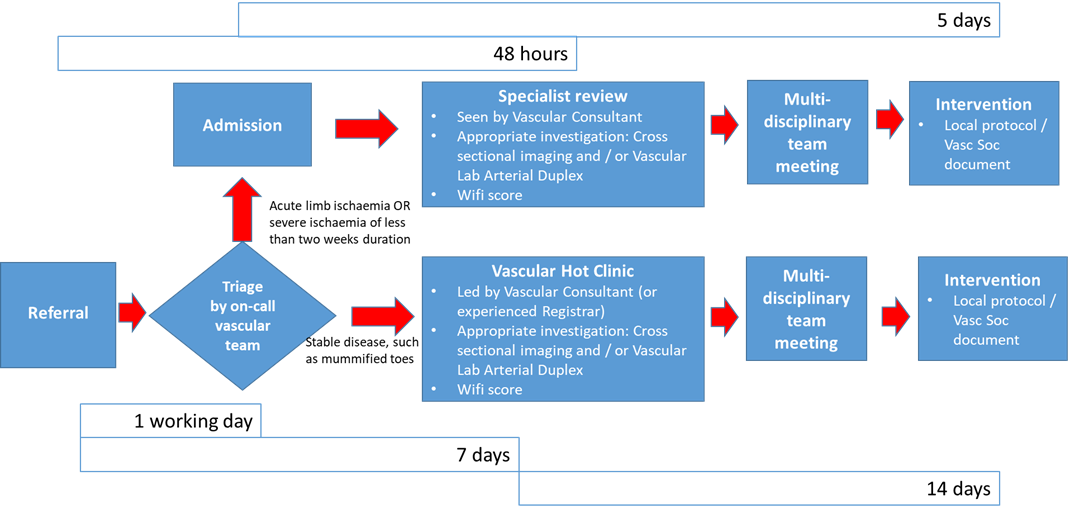 Image of chronic limb threatening pathway recommendations