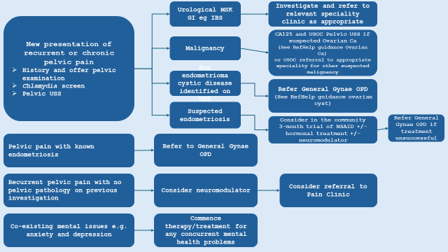 Chronic pelvic pain flowchart