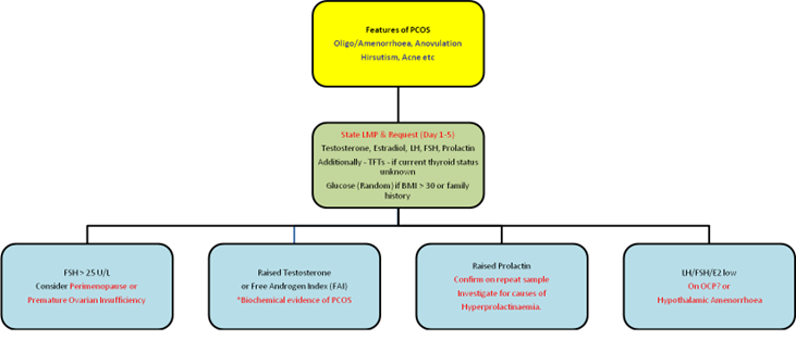 polycystic ovary flowchart