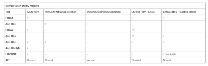 HBV Markers