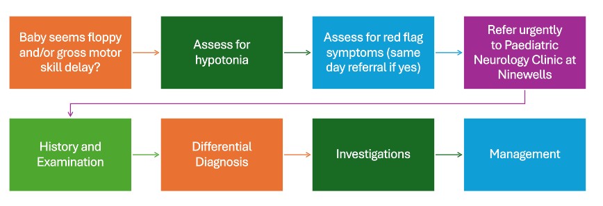 Clinical pathway for hypotonic infant
