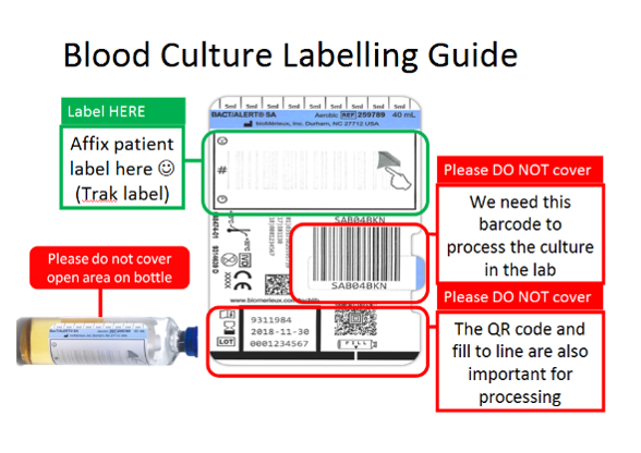 Blood culture label and instruction how to label