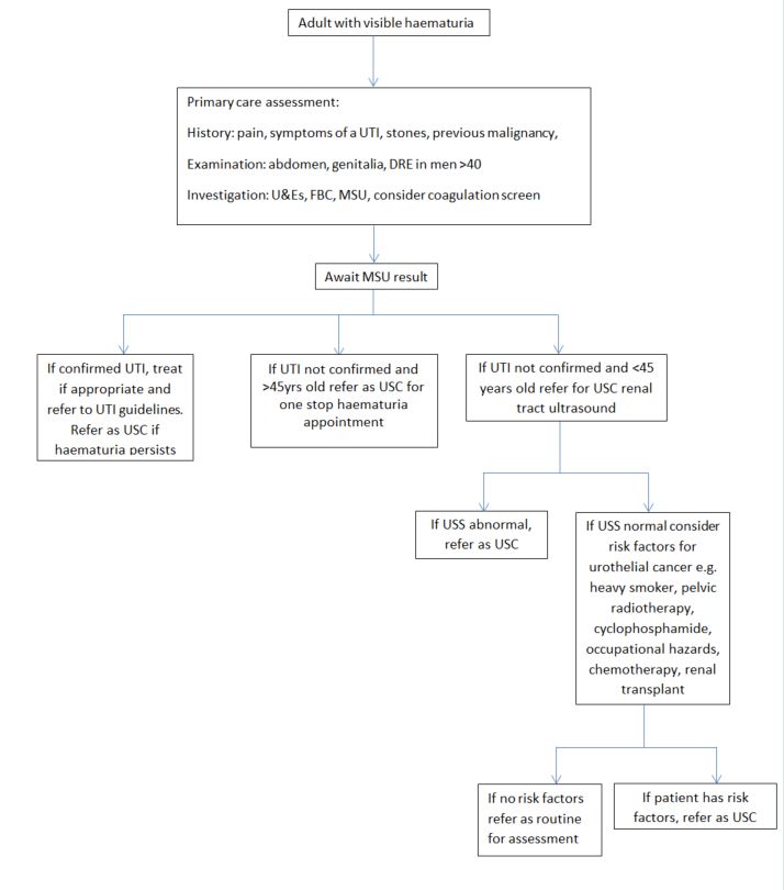 Frank haematuria pathway with step by step instructions of how a possible Frank haematuria is assessed and managed in adults.