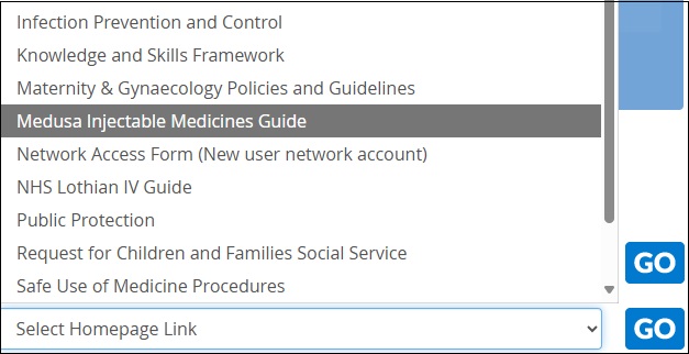 Screenshot of Homepage link